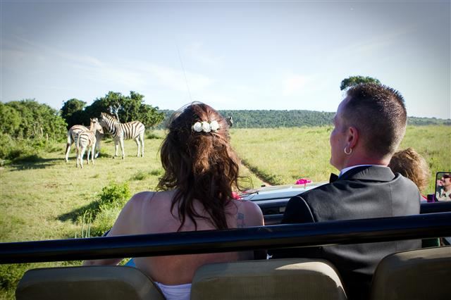 Kariega Game Reserve  - Ukhozi Lodge - 4