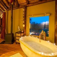 Amakhala Game Reserve - Bush Lodge - 7