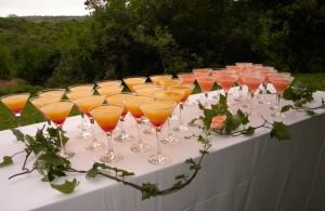 Inkwenkwezi Private Game Reserve - 4