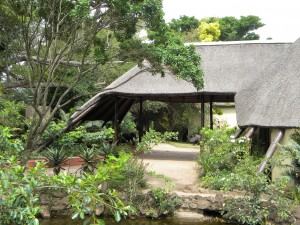 Inkwenkwezi Private Game Reserve - 7