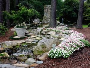 Sanderosa Gardens - 7