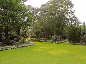 Sanderosa Gardens - 5