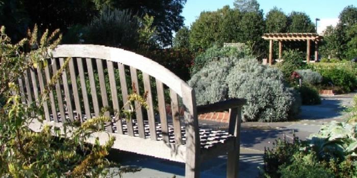 Page-Walker Arts and History Center - 3