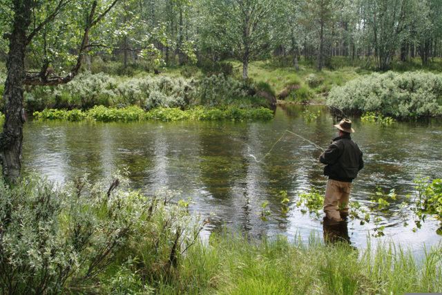 Santa's Hotel Aurora - 5