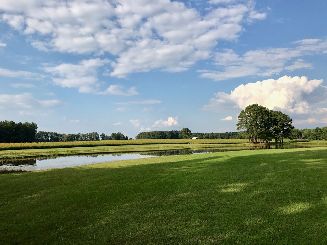 The Roger Strickland Farm, Bailey, North Carolina, Wedding Venue