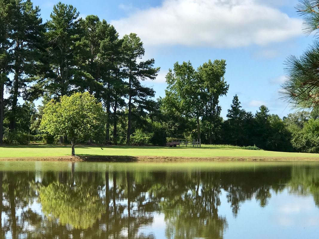 The Roger Strickland Farm, Bailey, North Carolina, Wedding Venue