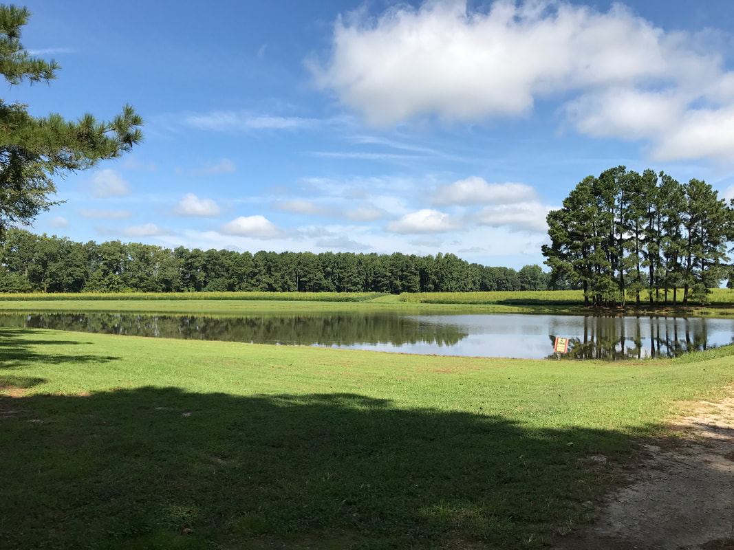 The Roger Strickland Farm, Bailey, North Carolina, Wedding Venue