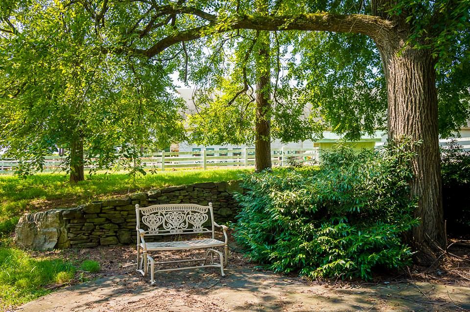 The Historic Wakefield Barn - 4