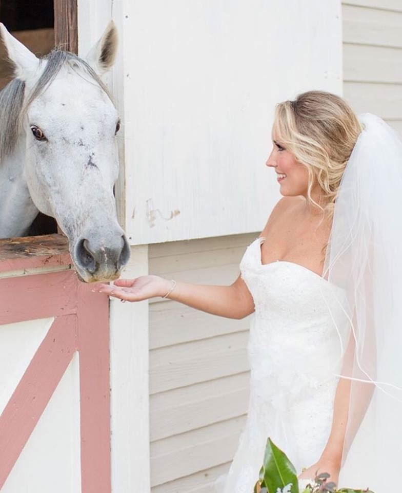 The Historic Wakefield Barn - 2