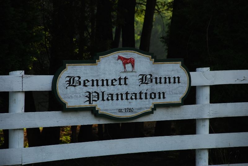 Bennett Bunn Plantation - 1