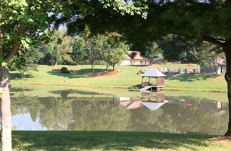 Reflections at the Pond - 1