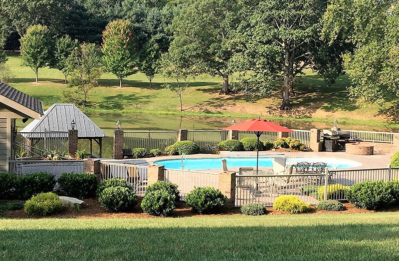 Reflections at the Pond - 2