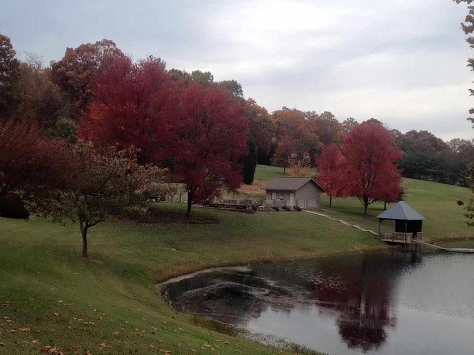 Reflections at the Pond - 5