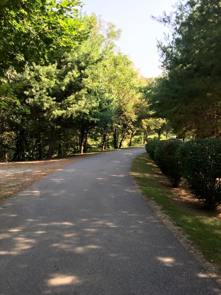 Reflections at the Pond - 7