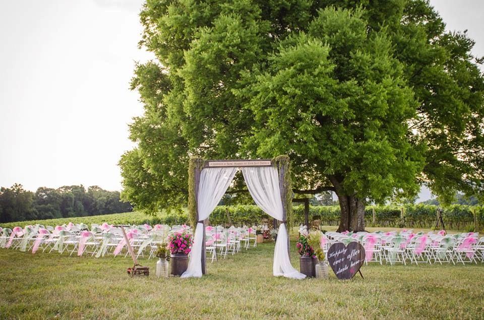 Spout Spring Estates Winery an Vineyard - 2