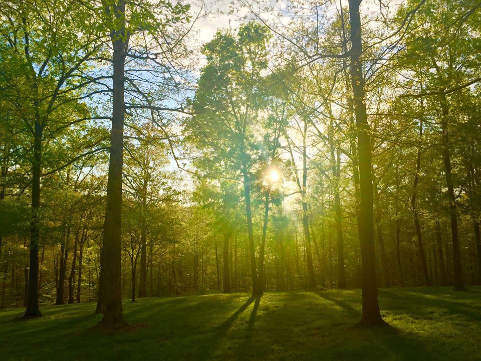 Top of Woodland Weddings and Chapel - 2