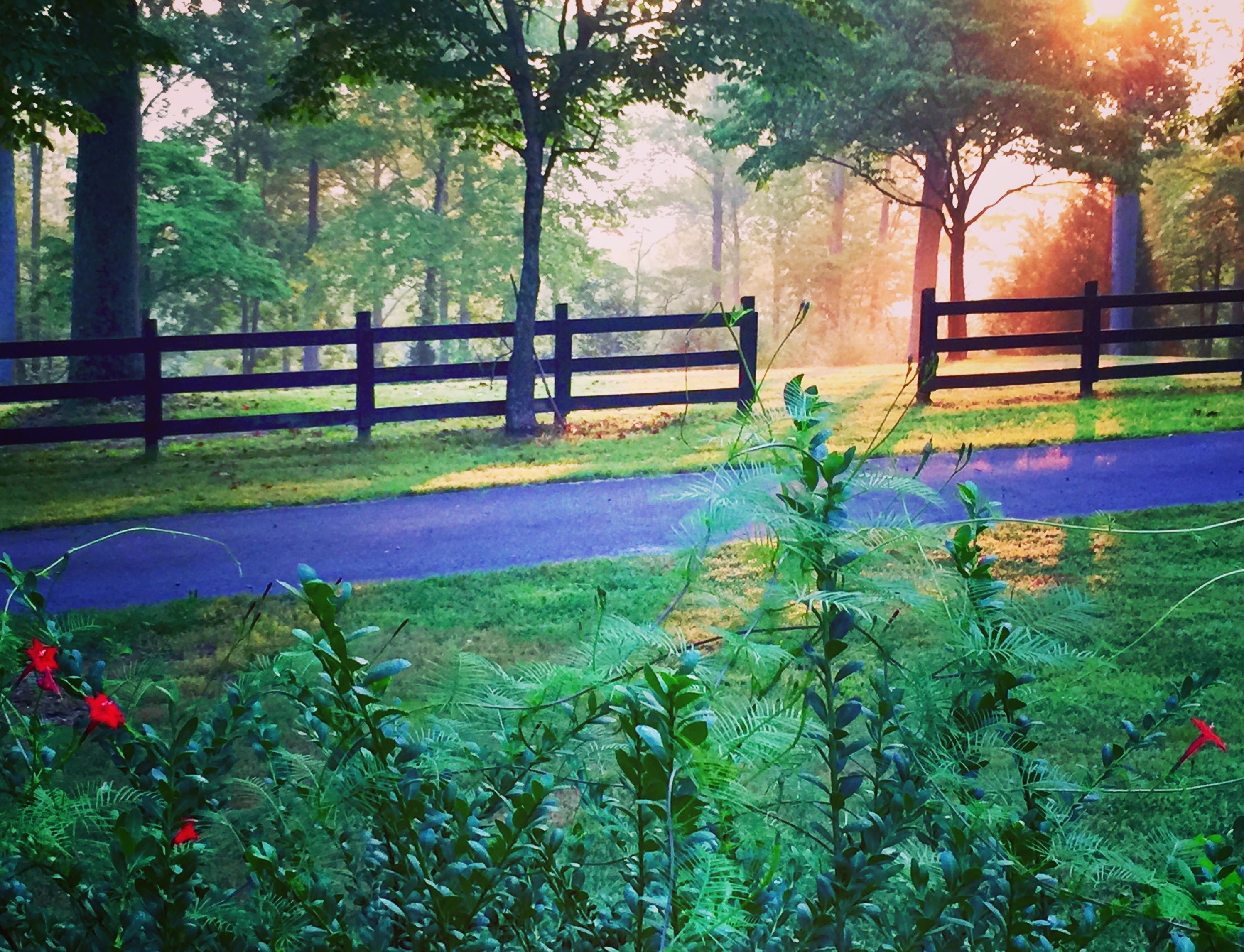 Top of Woodland Weddings and Chapel - 6