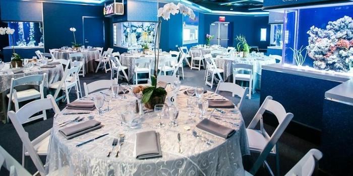 Tennessee Aquarium - 5