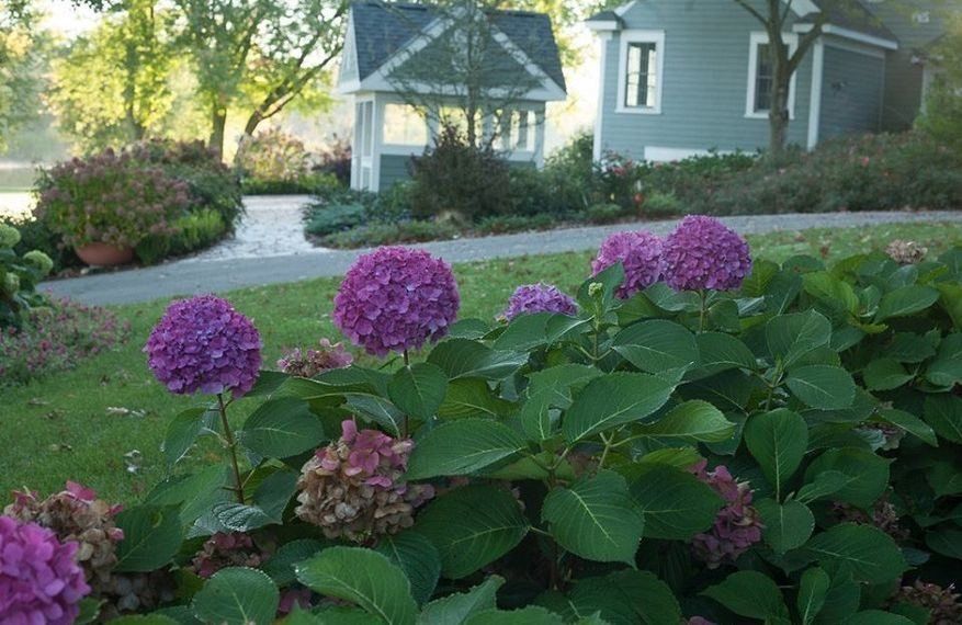 The University of Tennessee Gardens - 5