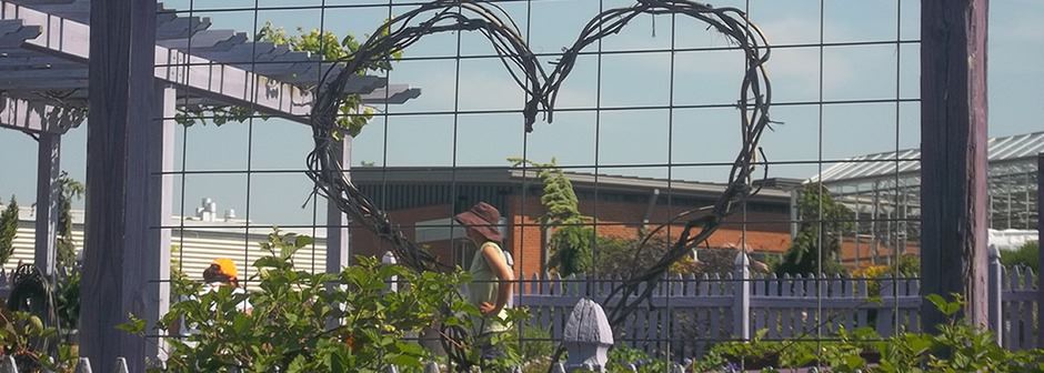 The University of Tennessee Gardens - 3