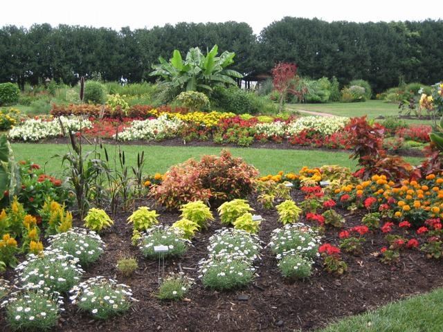 The University of Tennessee Gardens - 6