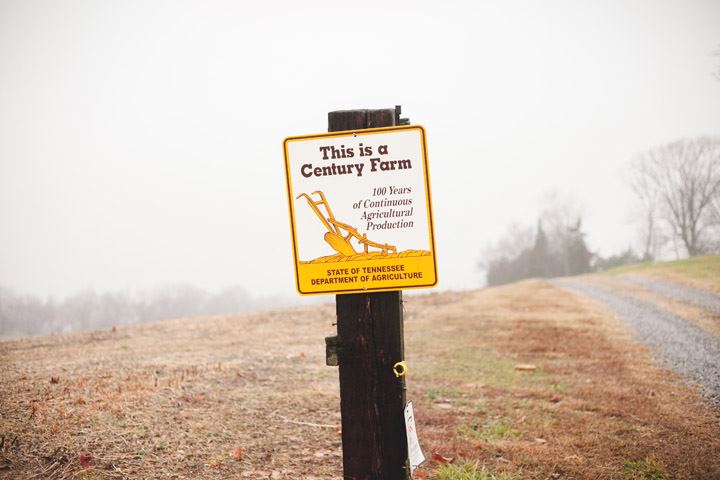 The Ruby Cora at Gunn Farm - 7