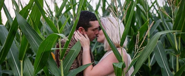 The Ruby Cora at Gunn Farm - 4