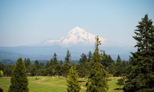 Persimmon Country Club - 7