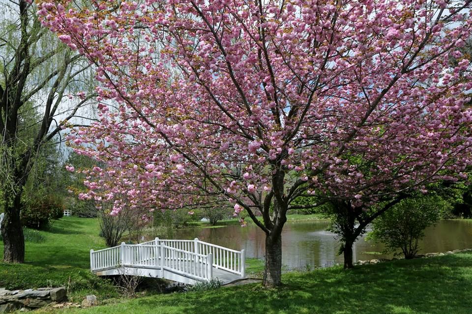 Sleepy Hollow Inn and Event Center WNC Mountains - 6