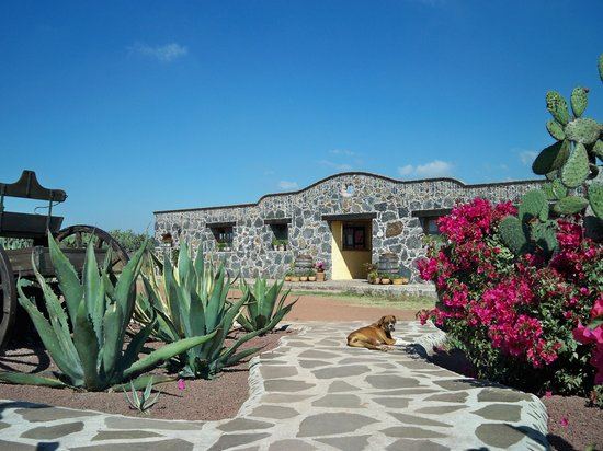 Rancho Las Cascadas Resort - 1