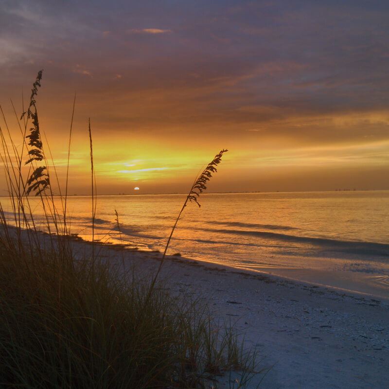 Sundial Beach Resort & Spa - 7