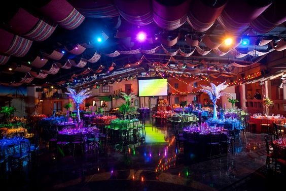 Tampa's Lowry Park Zoo - 3