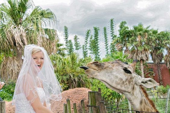 Tampa's Lowry Park Zoo - 1