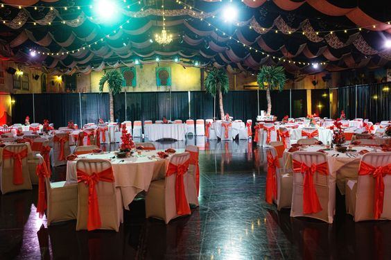 Tampa's Lowry Park Zoo - 5