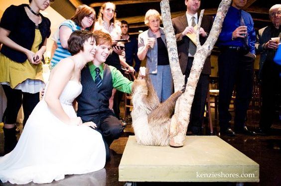 Tampa's Lowry Park Zoo - 7