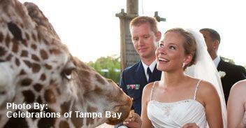 Tampa's Lowry Park Zoo - 6