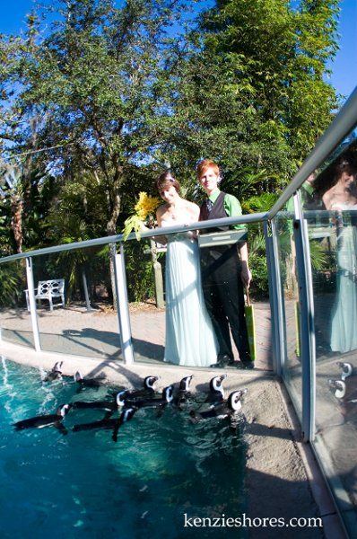 Tampa's Lowry Park Zoo - 4