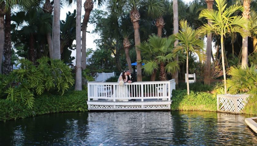 TradeWinds Island Resort - 1