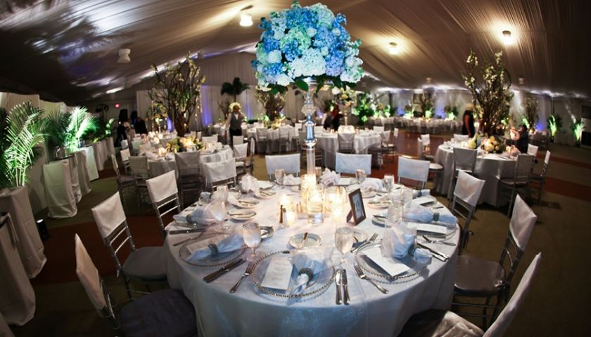 TradeWinds Island Resort - 4