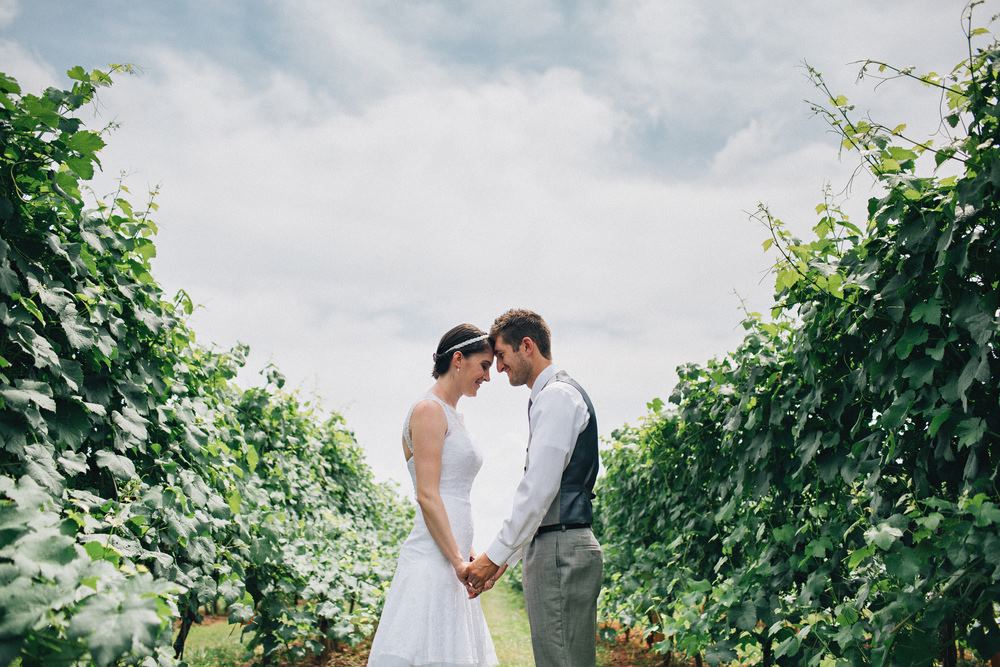 Lazy Days Winery - 7