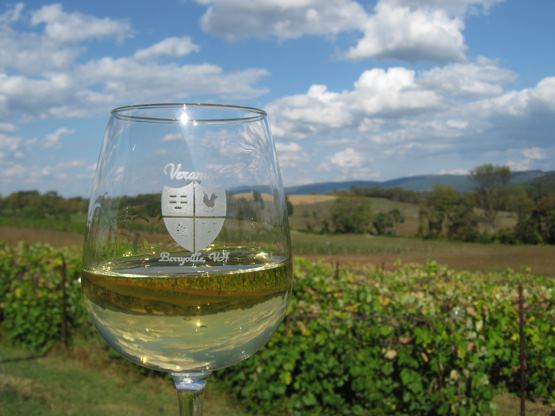 Veramar Vineyard - 3