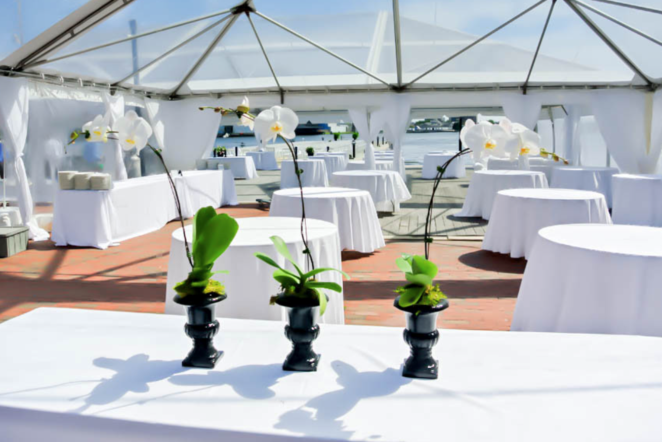 Waterfront Kitchen - 5