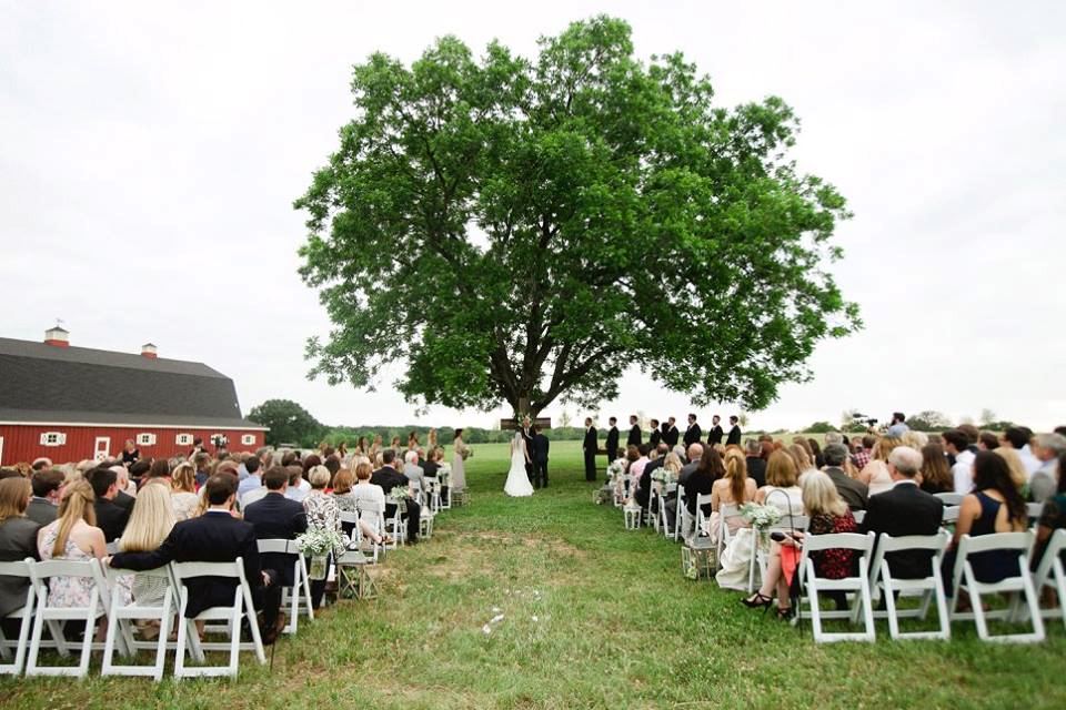 The Milestone Aubrey - 3