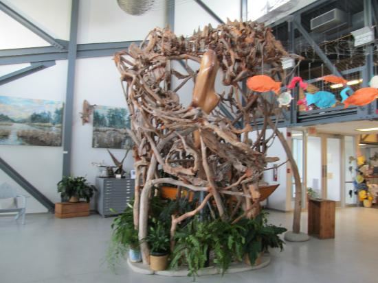 North Carolina Estuarium - 6