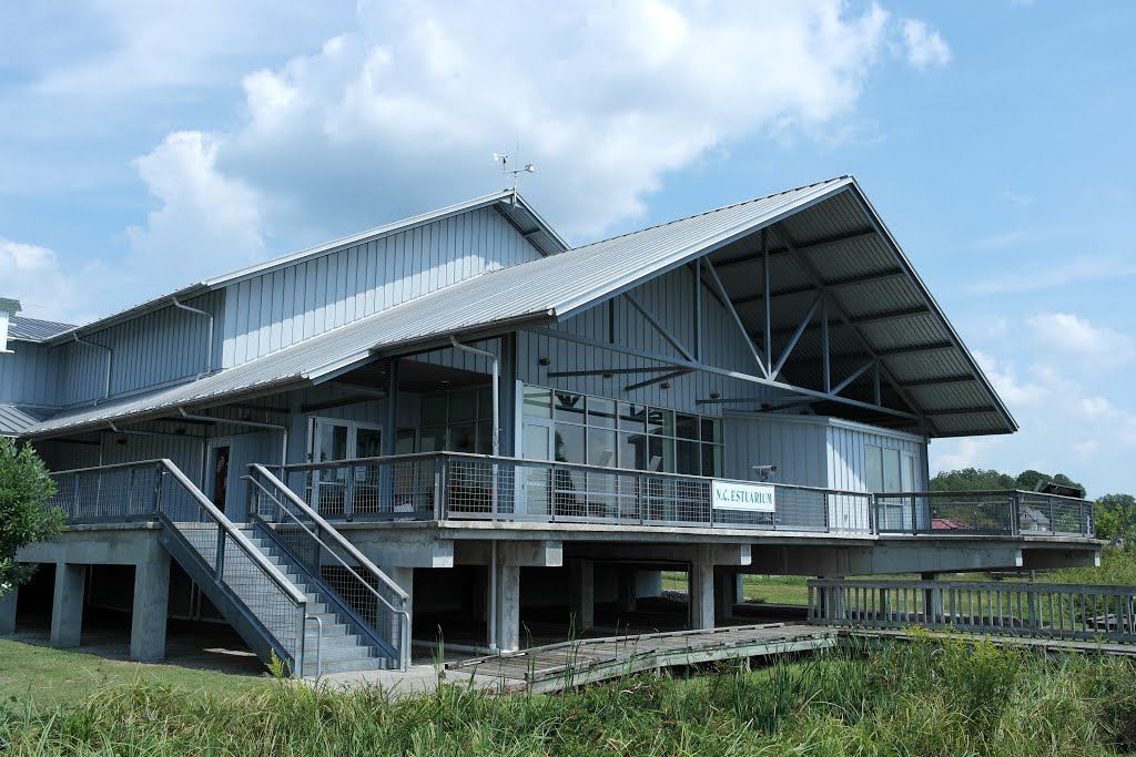 North Carolina Estuarium - 3