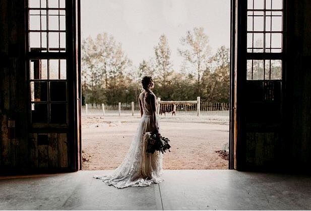 Sassafras Fork Farm - 5