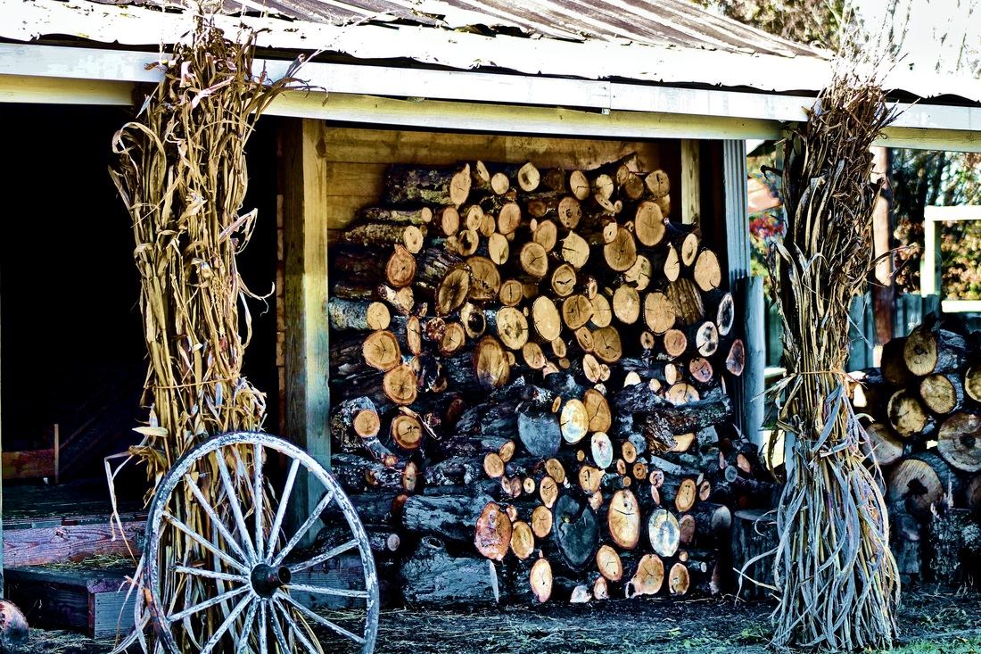 Raised In A Barn Farm - 7