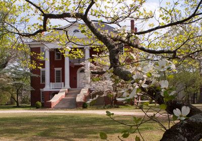 The Stonewall Manor - 7