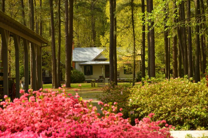 Tobacco Farm Life Museum - 6