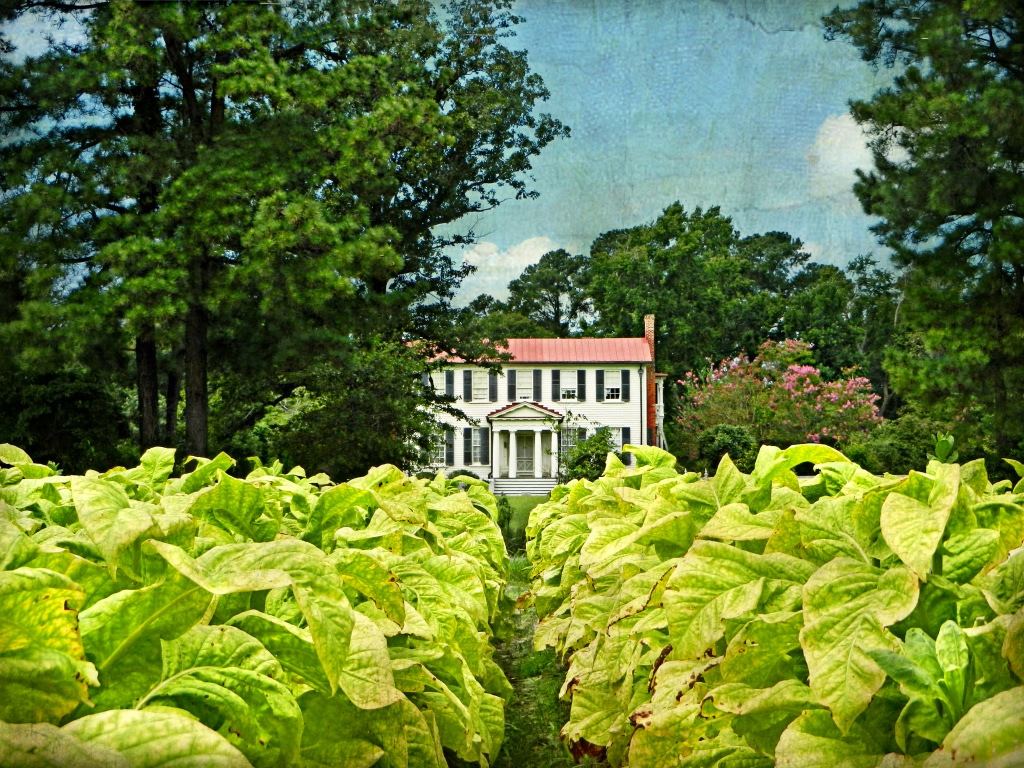 Tobacco Farm Life Museum - 4